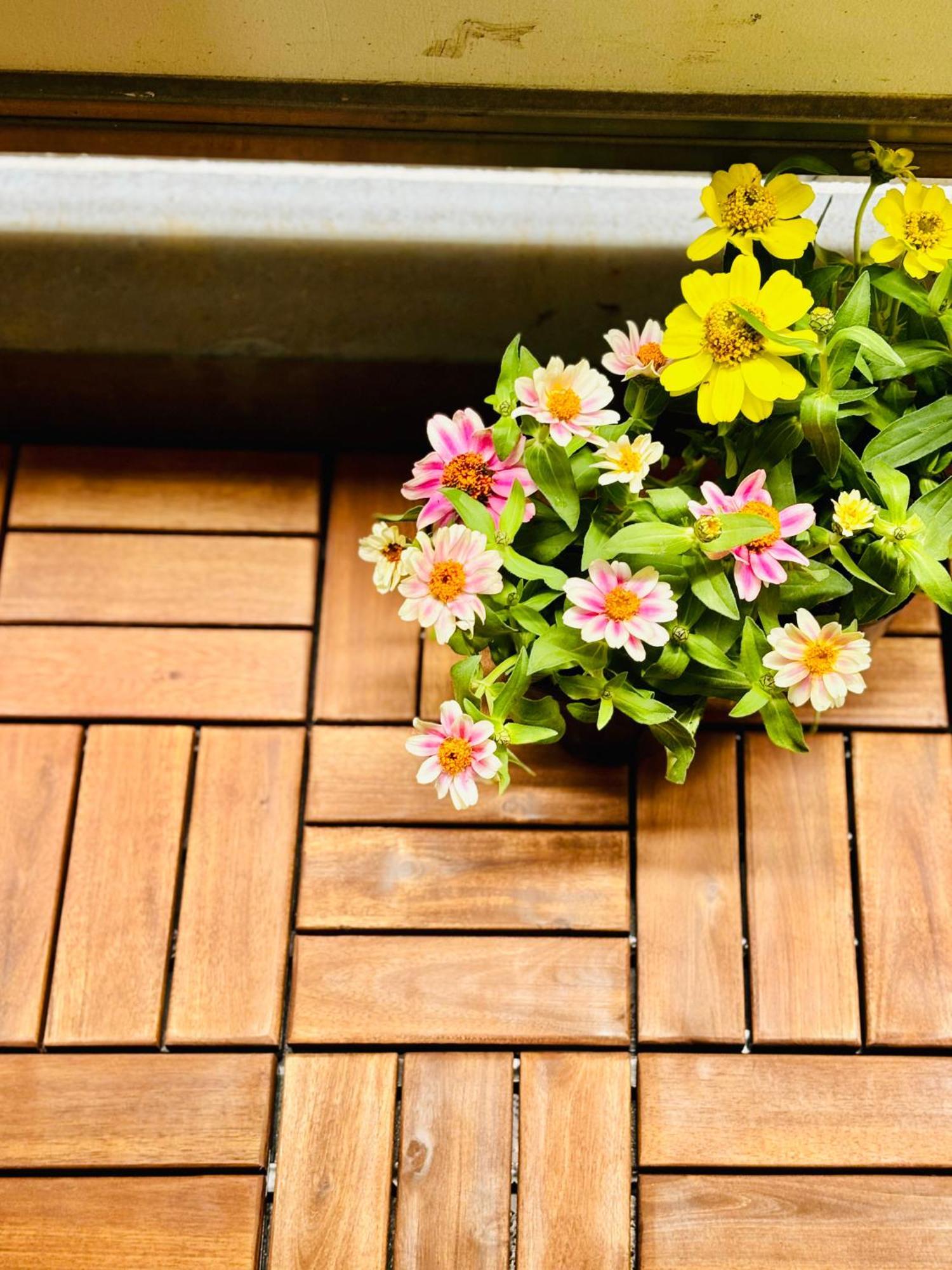 Glou Shinjuku Family Appartement *